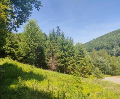 Sale Land – for living, Land – for living, Žilina, Slovakia