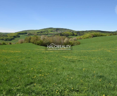 Sale Recreational land, Žarnovica, Slovakia