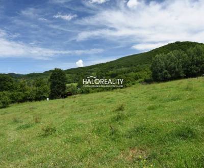 Sale Recreational land, Žarnovica, Slovakia