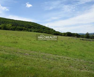 Sale Recreational land, Žarnovica, Slovakia