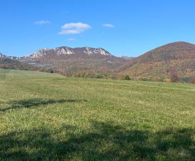 Sale Recreational land, Recreational land, Pruské, Ilava, Slovakia