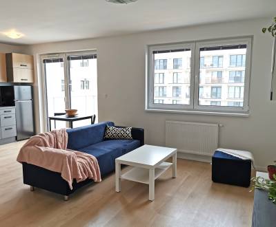 RENTAL / Short-term rental, furnished 2-room apartment with parking BA