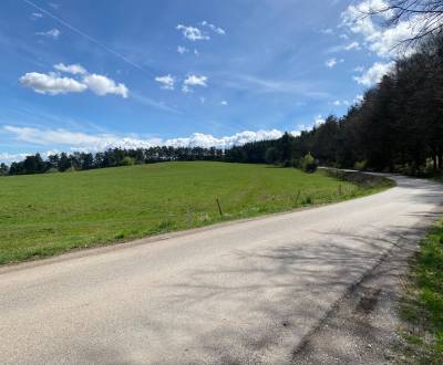 Sale Agrarian and forest land, Agrarian and forest land, Maša, Spišská