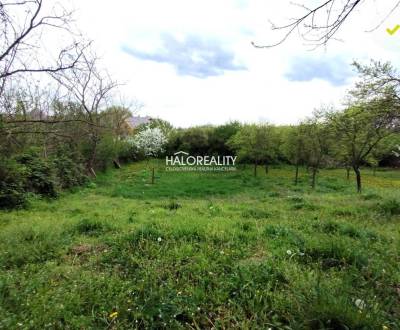 Sale Land – for living, Levice, Slovakia