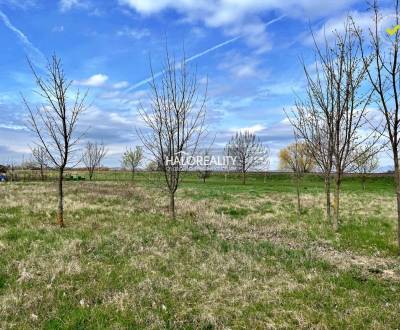 Sale Land – for living, Levice, Slovakia