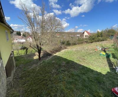 Rent Gardens, Gardens, Byster, Košice-okolie, Slovakia