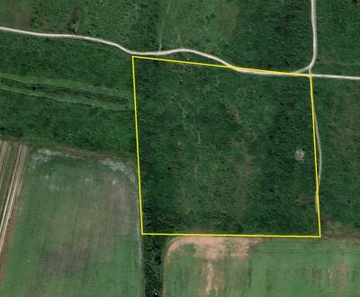 Sale Land – for living, Land – for living, Dolná, Pezinok, Slovakia