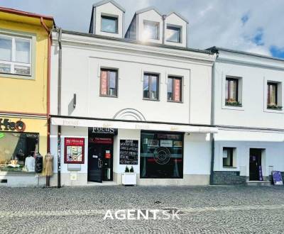 Sale Commercial premises, Commercial premises, Bottova, Žilina, Slovak