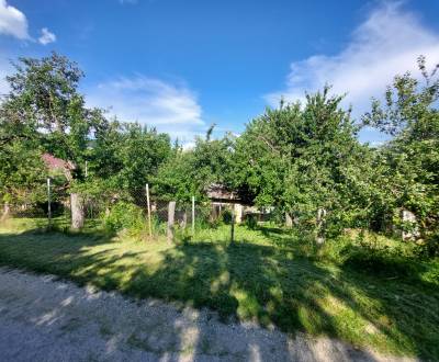 Sale Family house, Family house, Žadovica, Myjava, Slovakia