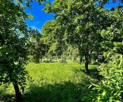 Sale Land – for living, Piešťany, Slovakia