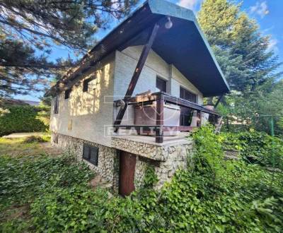 Sale Cottage, Nové Mesto nad Váhom, Slovakia