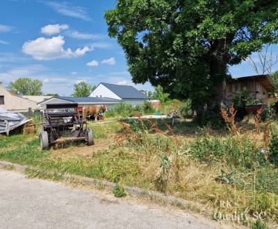 Sale Land – for living, Land – for living, Nitrianska, Senec, Slovakia