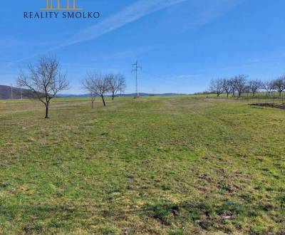 Sale Agrarian and forest land, Agrarian and forest land, Vihorlatská, 