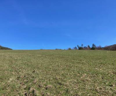 Sale Land – for living, Land – for living, Za traťou, Ilava, Slovakia