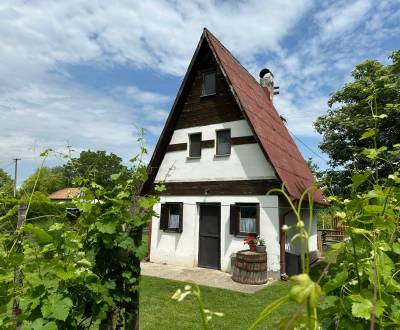 Sale Vineyards, Vineyards, Komárno, Slovakia