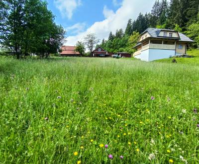 Sale Recreational land, Recreational land, Čadca, Slovakia