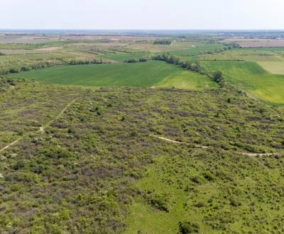 Sale Land – for living, Land – for living, Dolná, Pezinok, Slovakia