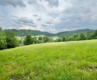 Sale Recreational land, Recreational land, Dlhá nad Kysucou, Čadca, Sl