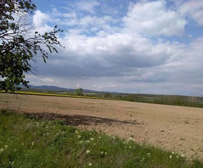 Searching for Land – for living, Land – for living, Senec, Slovakia