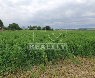 Sale Land – for living, Zlaté Moravce, Slovakia