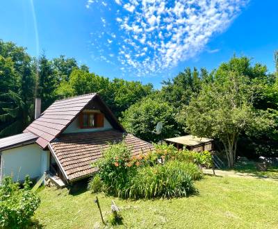 Sale Cottage, Cottage, Levice, Slovakia