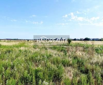 Sale Agrarian and forest land, Senec, Slovakia