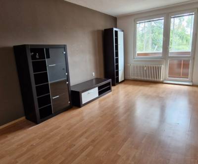 Sale Two bedroom apartment, Two bedroom apartment, L.Svobodu, Skalica,