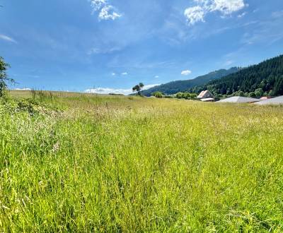 Sale Land – for living, Land – for living, Korňanská cesta, Čadca, Slo