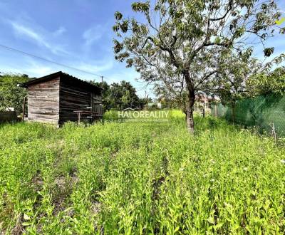 Sale Recreational land, Levice, Slovakia