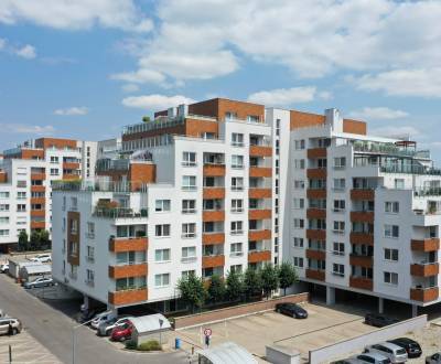 Sale Commercial premises, Commercial premises, Nobelova, Bratislava - 