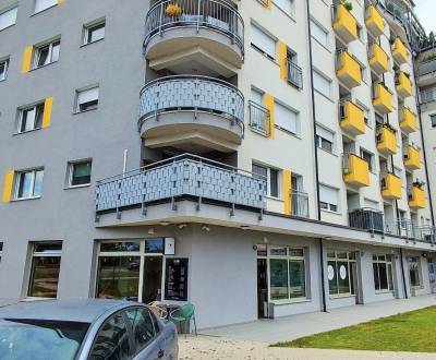 Rent Commercial premises, Commercial premises, Sputniková, Bratislava 