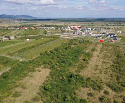 Sale Agrarian and forest land, Agrarian and forest land, Trnavská cest