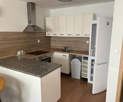 Rent One bedroom apartment, One bedroom apartment, Clementisove sady, 