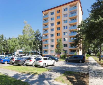 Sale Two bedroom apartment, Two bedroom apartment, Pod kaštieľom, Ilav