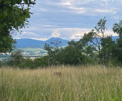 Sale Recreational land, Recreational land, Ilava, Slovakia