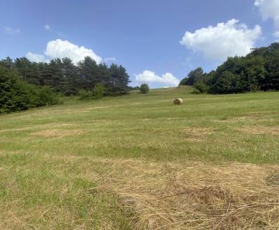 Sale Recreational land, Recreational land, Púchov, Slovakia