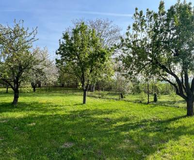 Sale Land – for living, Land – for living, Kocurice, Piešťany, Slovaki