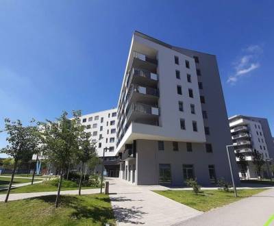 Rent Commercial premises, Commercial premises, Hraničná, Bratislava - 