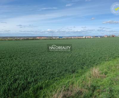 Sale Agrarian and forest land, Skalica, Slovakia