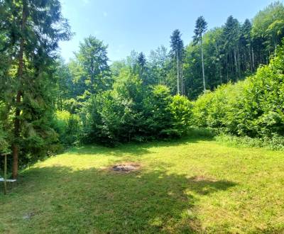 Sale Cottage, Cottage, Šiba, Bardejov, Slovakia