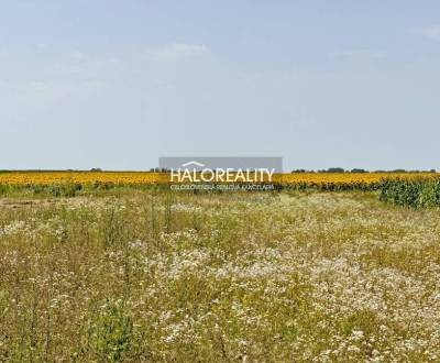 Sale Land – for living, Komárno, Slovakia