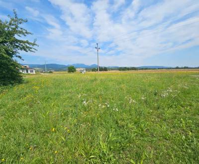 Sale Land – for living, Land – for living, Ilava, Slovakia