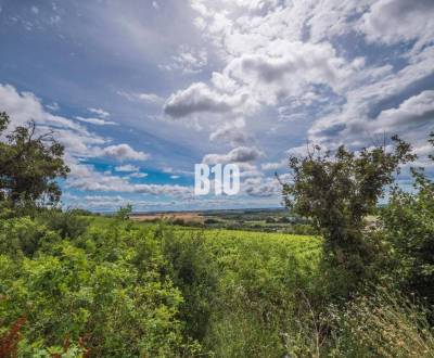 Sale Recreational land, Recreational land, Pezinok, Slovakia