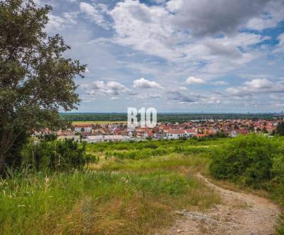 Sale Gardens, Gardens, Pezinok, Slovakia