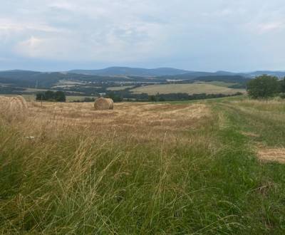 Sale Land – for living, Land – for living, Stará Turá, Nové Mesto nad 