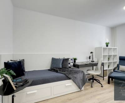 Rent Single studio, Single studio, Kyjevská, Bratislava - Nové Mesto, 