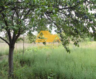 Sale Land – for living, Land – for living, Zemné, Nové Zámky, Slovakia