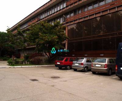 Rent Offices, Offices, neuvedené, Senec, Slovakia