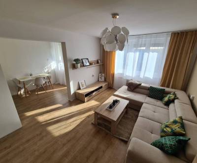 Sale Two bedroom apartment, Two bedroom apartment, Ružový háj, Dunajsk