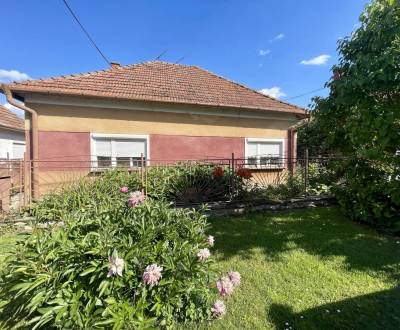 Sale Family house, Family house, neuvedené, Dunajská Streda, Slovakia